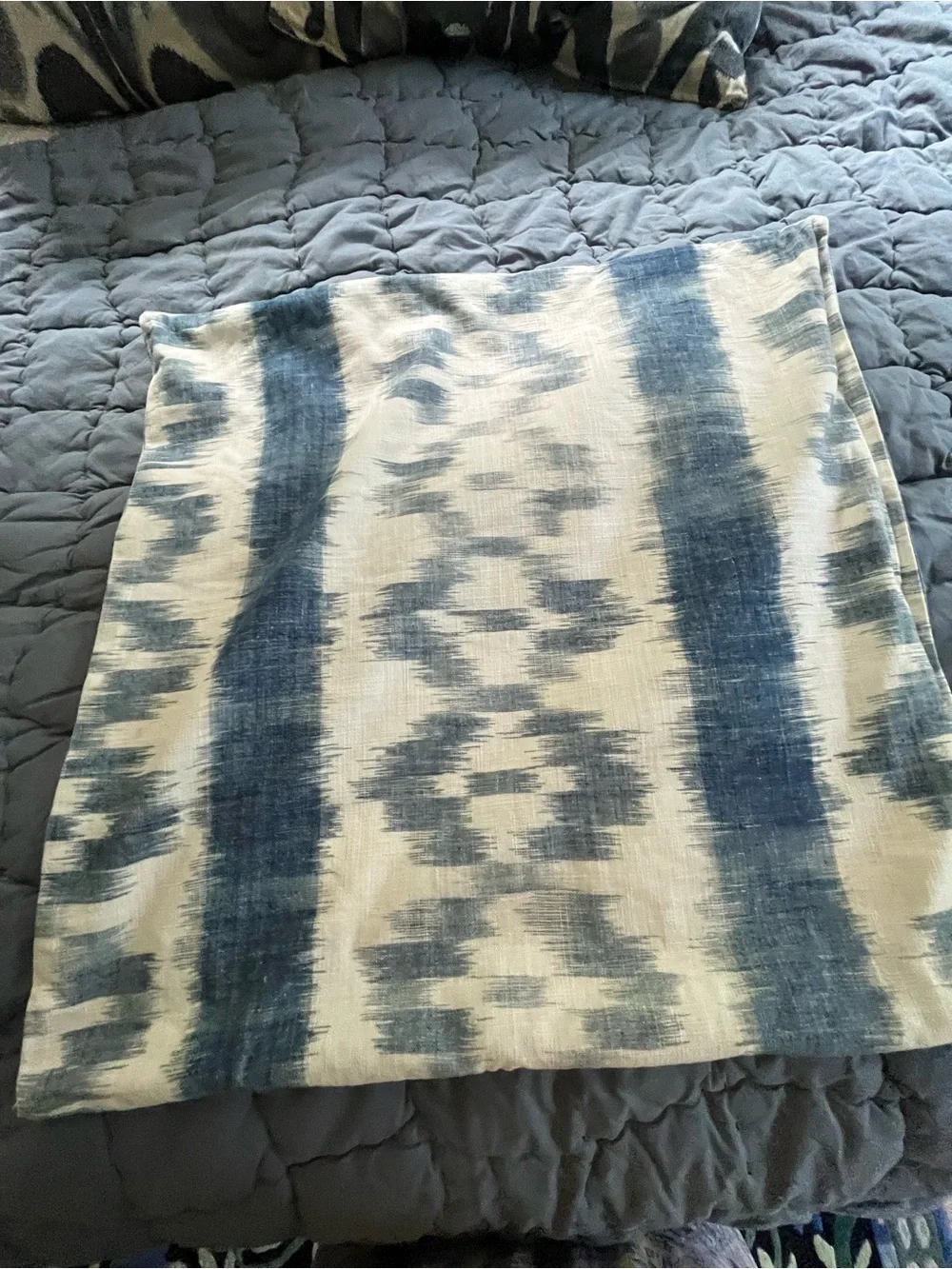 Pottery Barn stylish pillow